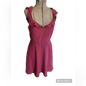 Minuet Petite Fit & Flare Ruffle Dress Pink | Large | New With Tags